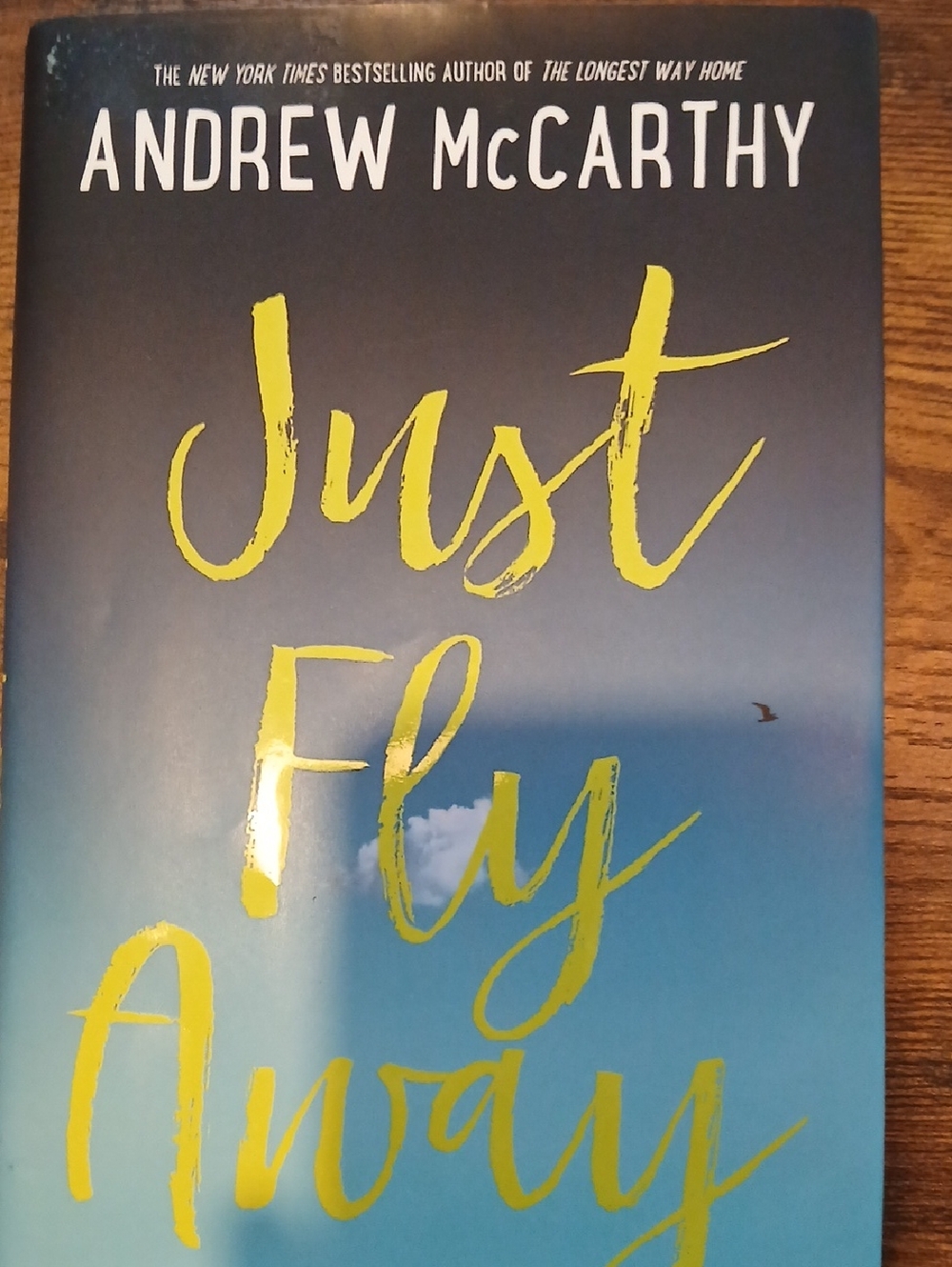 Andrew McCarthy "Just Fly Away" Paperback - Blue & Yellow Cover